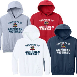 Softstyle®Youth Hoodie SF500B PRO