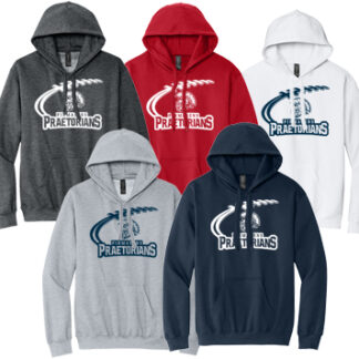 1Softstyle® Midweight Sweat Adult Hoodie SF500 BALL