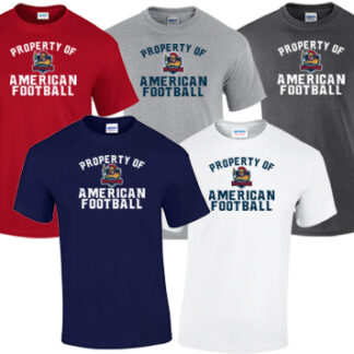 HERREN T-SHIRT GILDAN PRO
