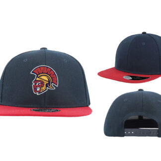 1Snap Back Cap to Colore AT603